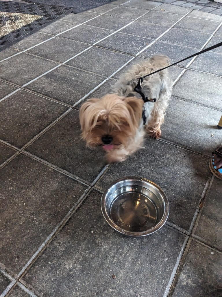 Home 15 PXL 20230719 224259310.MP(1)