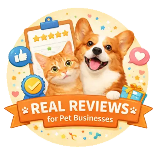 About Us 5 Real Reviews