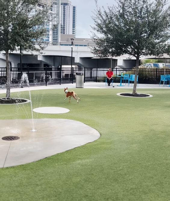 Home 11 Julian B Lane Park 1